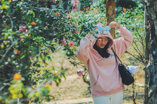 Les films les plus attendus à l'affiche cette année